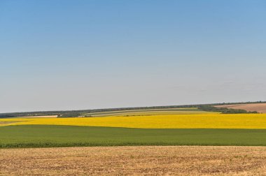 tarımsal alanlar. hasat edilen buğday tarlası