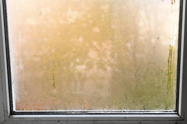 Metal plastik pencerenin ıslak camı. küf ile yoğunlaş.
