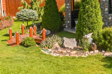 Güneşli bir günde yeşil çimenli ve ağaçlı bahçe.