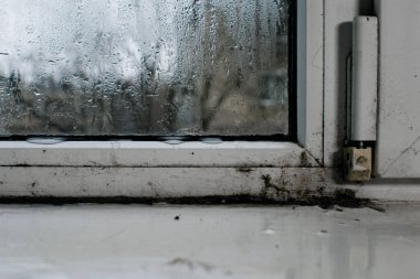 Penceredeki küf. Konsept