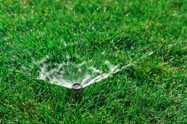 Su püskürtme sistemiyle yeşil bir çimenliği sulama süreci..