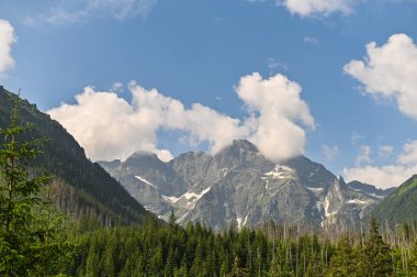 Tatra Dağları 'nda turizm. Dağların güzel manzarası. zakopane, Polonya.