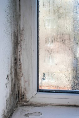 Pencerenin üzerinde siyah küf ve cam üzerinde su damlaları var. dikey