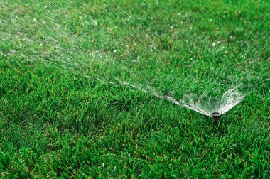 Çimlerin otomatik olarak yeşil çimlerle sulanması. Fıskiye sistemi