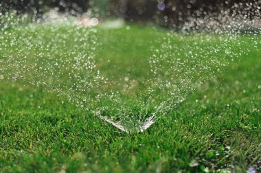 Otomatik çimenleri sulayan yeşil çimenler.