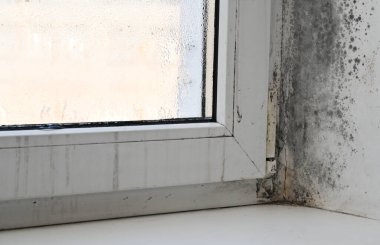 Pencerenin köşesinde küf var..