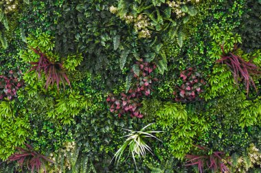 Bitkisel bitkilerin arka plan duvarı yeşil malzemeden yapılmıştır. Doğal bir şekilde çiçekli duvar kağıdı.