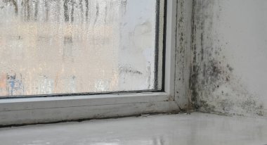 Pencerenin köşesinde siyah küfle kaplı bir daire var. Kirli noktalar çerçevelere ve pencere pervazlarına yayılarak sağlıksız bir ortam yaratıyor. Neme ve yetersiz havalandırmaya kadar uzadığını gösterir.