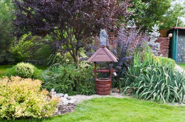 Arka bahçedeki süs bitkileri. yakın plan