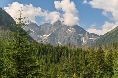 Bulutlarla kaplı gök kubbenin altındaki Evergreen ormanı. Bu nefes kesici manzara ham gücü ve dokunulmamış doğanın sükunetini yakalar. Kayalık yüksek dağlar, mavi gökyüzü. Polonya, Zakopane Tatras