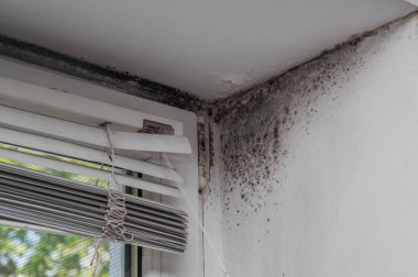 Pencerenin köşesinde siyah bir kalıp var.