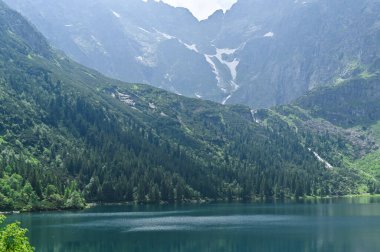 Sakin göl, dingin manzaradaki yüksek dağ sırasını ve yeşil ormanı yansıtır. Su ve tepeler temiz gökyüzü ve temiz hava ile huzurlu doğal manzaralar yaratır. Dağlardaki ladin ormanı berrak göl kenarında.