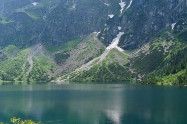 Yoğun köknar ormanı ve arka planda Tatra zirveleri olan dağ manzarası. Koyu yeşil ağaçlar taze ve canlı doğal ortam yaratır. Dağlarda güzel bir göl, deniz gözü, Polonya, Zakopane