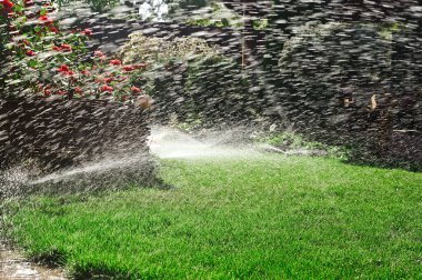 Bahçedeki fıskiyeler çimleri ve çalıları suluyor, verimli su akışını vurguluyor. Çimlerin ve çalıların özel bir bahçede büyümesini sağlar..