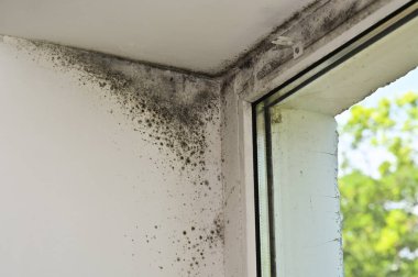 Pencerenin köşesinde küf var.