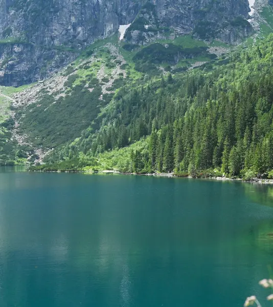 Bereketli yaz ormanı dağlarla ve yumuşak güneş ışığı altında suyla buluşur. Sessiz vadi ahenk, sıcaklık ve açık hava enerjisi yayar. Dağlarda güzel bir göl, deniz gözü, Polonya, Zakopane