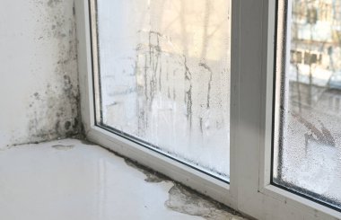 Dairedeki pencerede küf var. Nem ve rutubet mantarı formlarından dolayı sisli camlar - yerleşim alanındaki siyah küf.