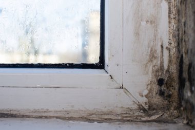 Penceredeki siyah küf.