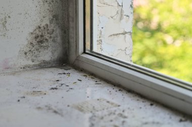 Dairedeki pencerede küf var..