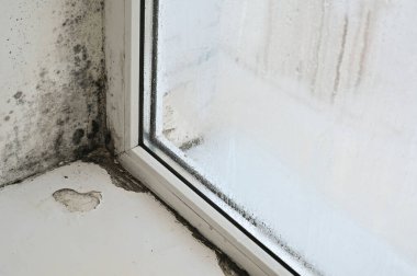 Dairedeki pencerede küf var.
