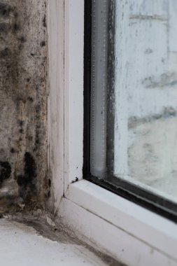 Penceredeki küf. dikey