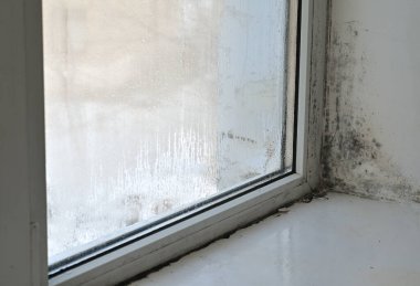 Dairedeki pencerede küf var.