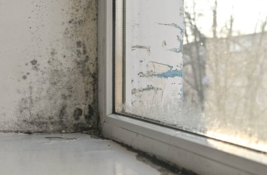 Yüksek nem ve yetersiz ısıtma nedeniyle, penceredeki küf formları. Pencere yamaçlarında siyah küf