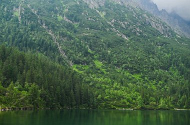 Sessiz gölün yukarısındaki tepeler. Sakin dağ gölü, ayna gibi dağ manzarasını yansıtır. Dağlar sık orman bitkileriyle kaplıdır. Prestij parkı, ekolojik olarak temiz bir çevre.