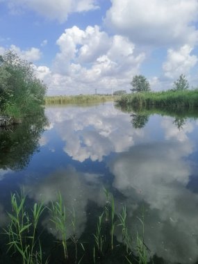 Su yüzeyindeki dikey fotoğraf bulutlu yaz gökyüzünün altında duruyor. Yansıma, gökyüzü ve dünya arasında ikilik oluşturur. Nehir doğal beyaz kümülüs bulutlarını yansıtır. Küçük nehrin sakin suları
