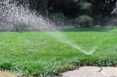 Sulama sistemi şafak vakti aktif hale gelecek ve her yeri su dağıtımıyla kaplayacak. Modern fıskiye sistemi programa uygun olarak aktif hale gelir ve manikürlü çimlerin üzerinde düzgün su kavisleri gönderir.. 