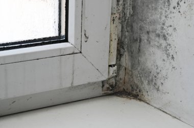 Kalıplı pencereler. Kalıba duyarlı, rutubet kontrolü sorunu var. Pencere çerçevesi rutubetli ve rutubetli. Küfün büyümesine katkıda bulunuyor. Görünür nem birikimini gösteren pencere. 