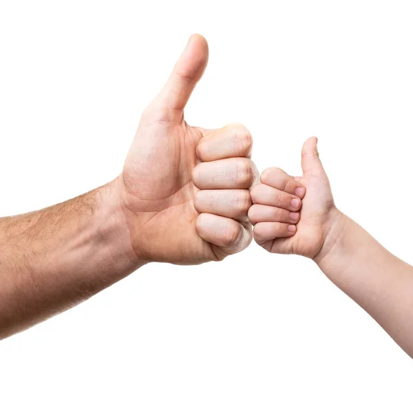 大人の男と子供の手 父親と子供の親指を 白い背景に隔離されます 家族の価値観 隣人への愛 ヘルプとサポートの概念の継続 — ストック写真