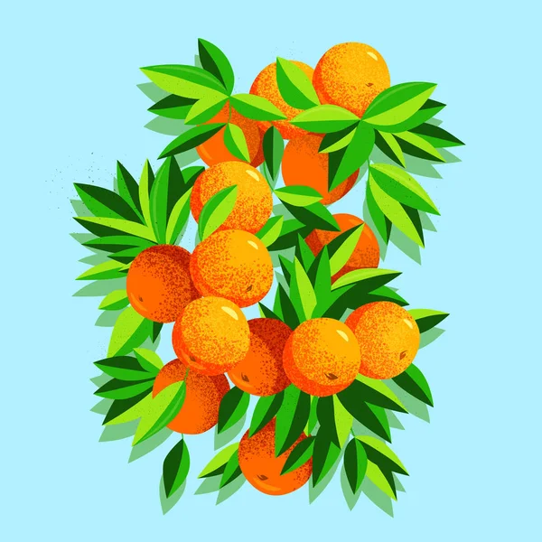 Branch Ripe Tangerines Green Leaves Contemporary Vector Illustration Beautiful Fresh — Stock Vector