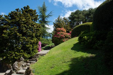 Baharda harika peyzaj ve güzel bitkilerle dolu bir park. İlkbaharda doğada güzellik.