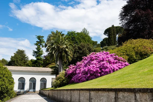 stock image Park in villa Melzi with great landscaping and beautiful plants in spring, beauty in nature at springtime, Italy, Lombardy