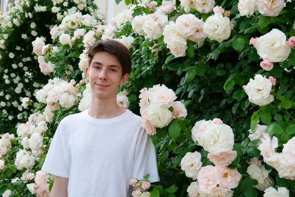 Nastolatek Parku Wśród Pięknych Biało Różowych Kwitnących Róż Lato Świeżym — Zdjęcie stockowe