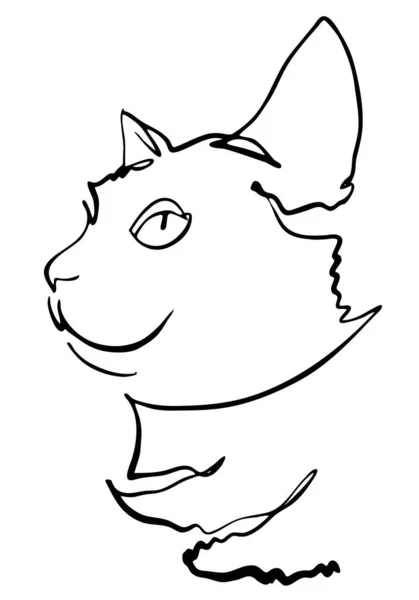 Retrato Gato Preto Desenhado Tinta Ilustração Vetorial Esboço Rápido Símbolo —  Vetores de Stock