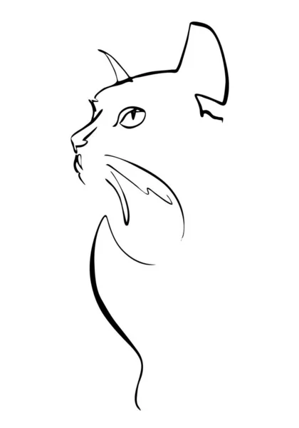 Black Cat Portrait Drawn Ink Vector Illustration Quick Sketch Symbol — Stock Vector
