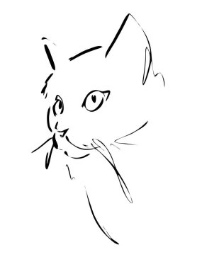 Kedi kafası mürekkeple çizilmiş, vektör çizimi, hızlı çizim, çizgi sanatı.