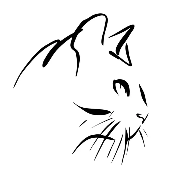 Kattenkop Getekend Inkt Vectorillustratie Snelle Schets Lijnkunst — Stockvector