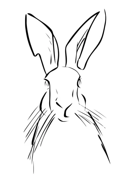 用墨水画兔子肖像画 矢量插图 速写草图 线条艺术 — 图库矢量图片