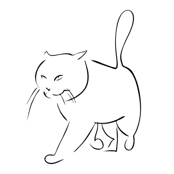 Kráčející Kočičí Portrét Kreslený Inkoustem Vektorová Ilustrace Rychlý Náčrt Čárový — Stockový vektor