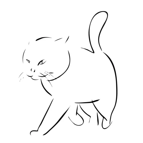 Wandelndes Katzenporträt Tusche Gezeichnet Vektorillustration Schnelle Skizze Linienzeichnung — Stockvektor