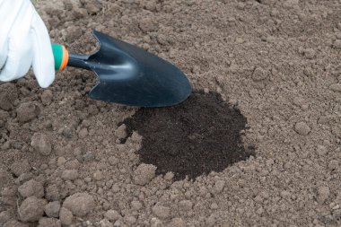 Toprağa humus ekliyor, besinlerle zenginleştiriyor. İlkbaharın başlarında tohum ekmek için toprak hazırlığı. Bahçıvanlık