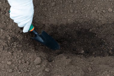 Toprağa humus ekliyor, besinlerle zenginleştiriyor. İlkbaharın başlarında tohum ekmek için toprak hazırlığı. Bahçıvanlık