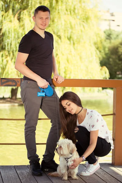 若いカップルの子犬 魅力的な幸せな笑顔若い女と男かわいい犬 夏公園屋外の肖像画 — ストック写真