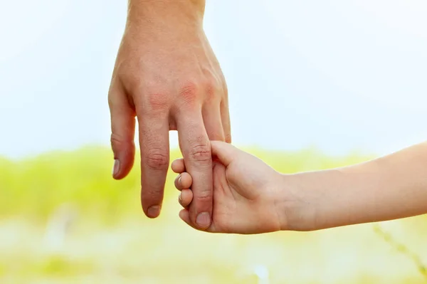 一个大人和一个小孩的两只手一个父亲牵着他的小儿子的手 夏天在户外 童年概念 — 图库照片
