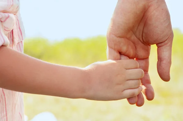 Duas Mãos Adulto Uma Criança Pai Leva Seu Filho Pela Fotografias De Stock Royalty-Free