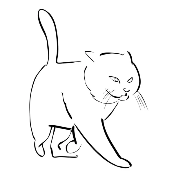 잉크로 그린걸어 다니는 고양이 초상화 일러스트 스케치 — 스톡 벡터