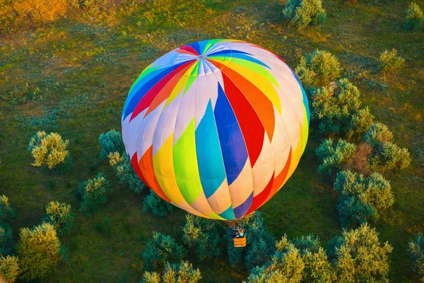 Balão Quente Está Voando Sobre Terra Com Árvores Pela Manhã — Fotografia de Stock